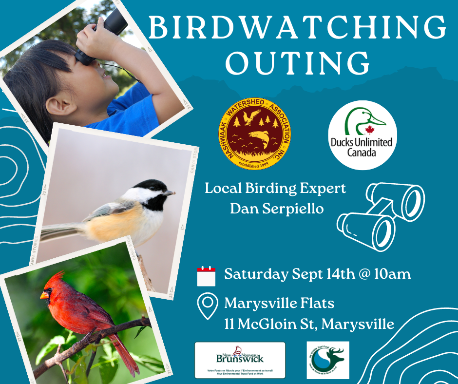 Birdwatching Outing